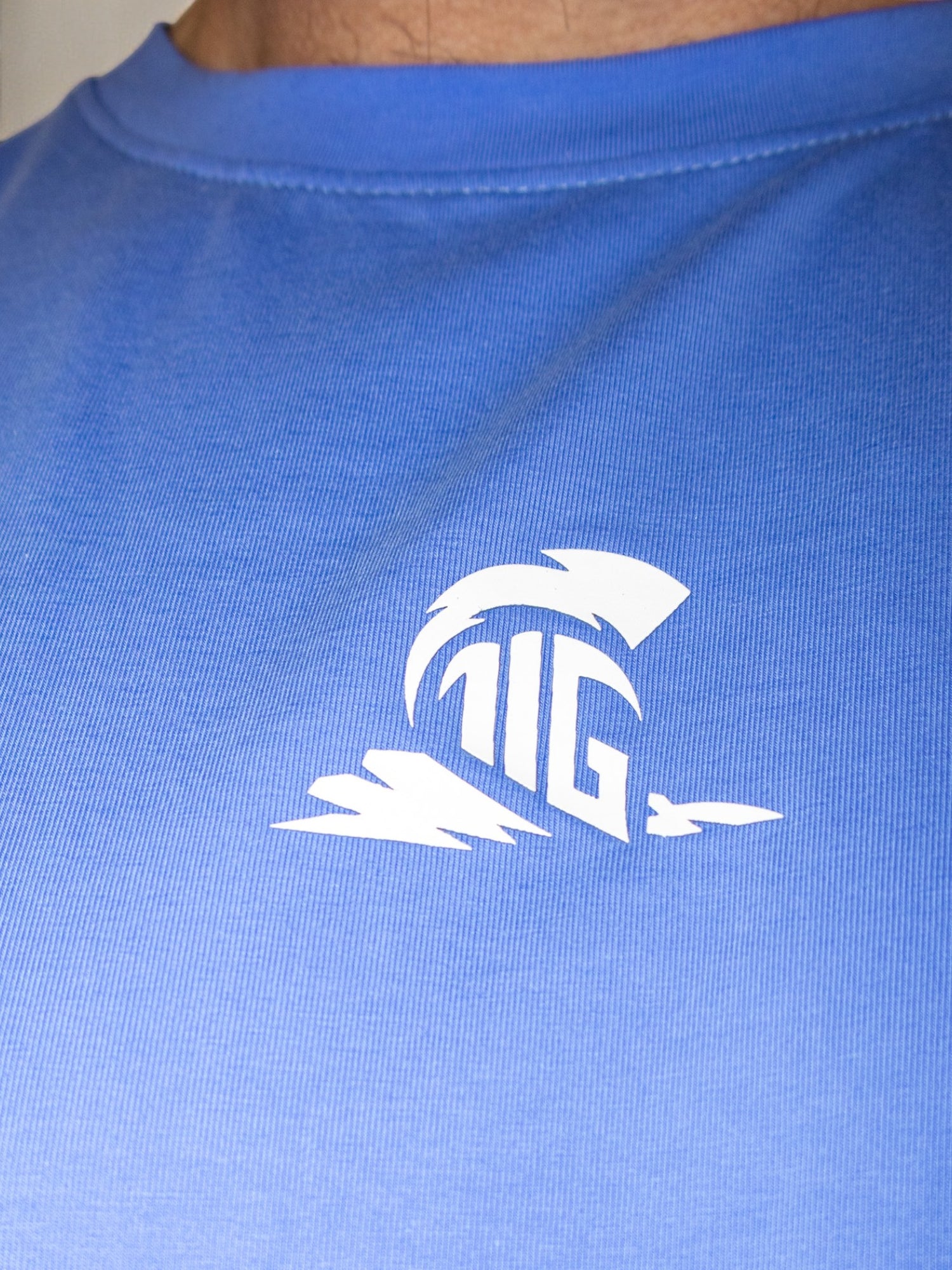 The Iron Graft Signature Oversize Tee - Blue